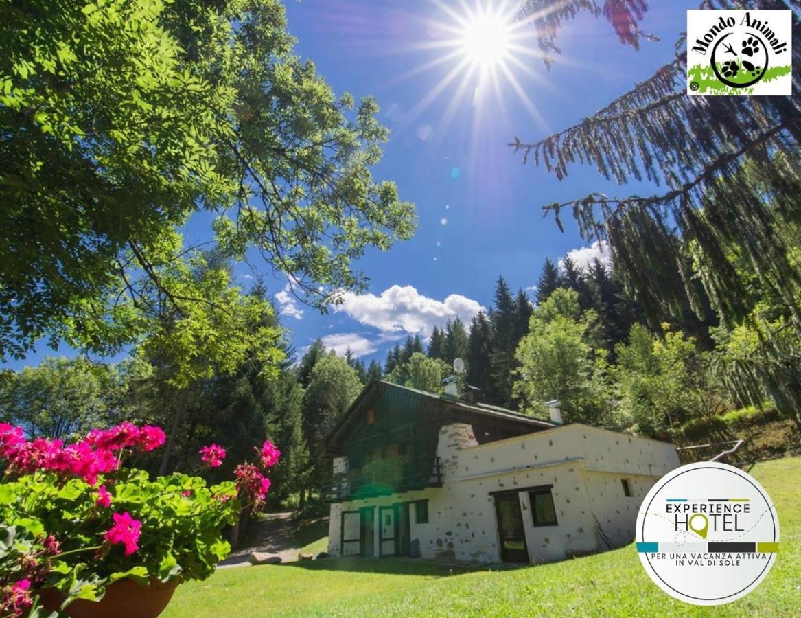 La Locanda Delle Pulci Bio Welness Mezzana  Buitenkant foto